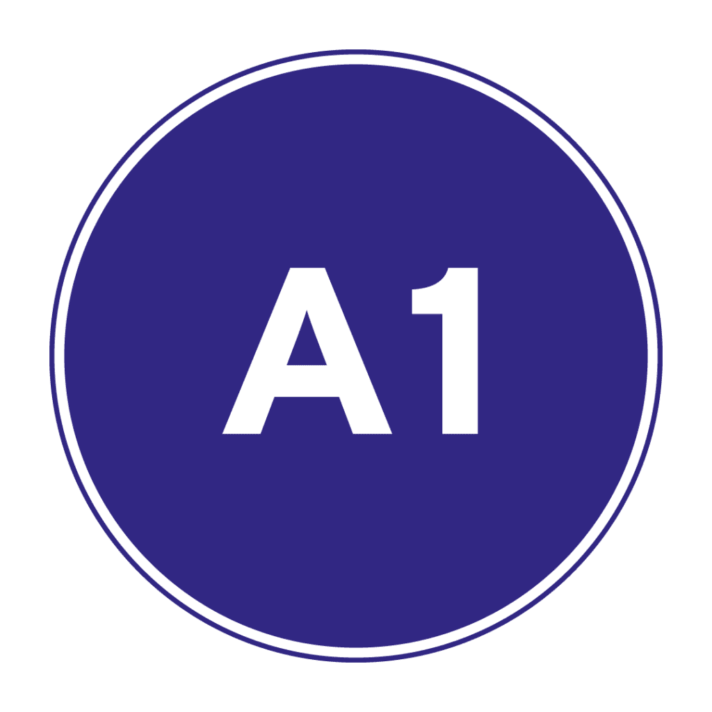 Permiso de conducir A1