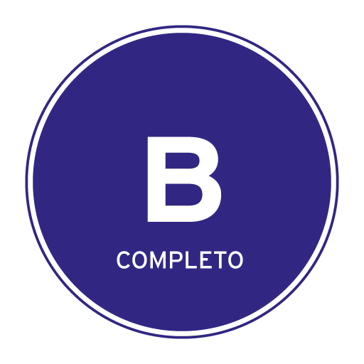 Permiso de conducir de clase B completo